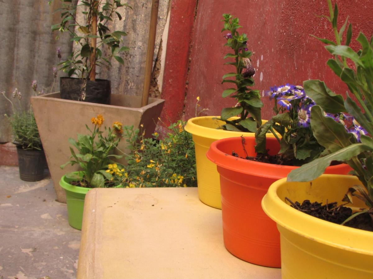 Casa Artigas Hostel コルドバ エクステリア 写真